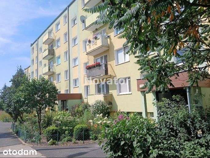 M-3 na parterze 48,45m2 osiedle Bajka w Fordonie.