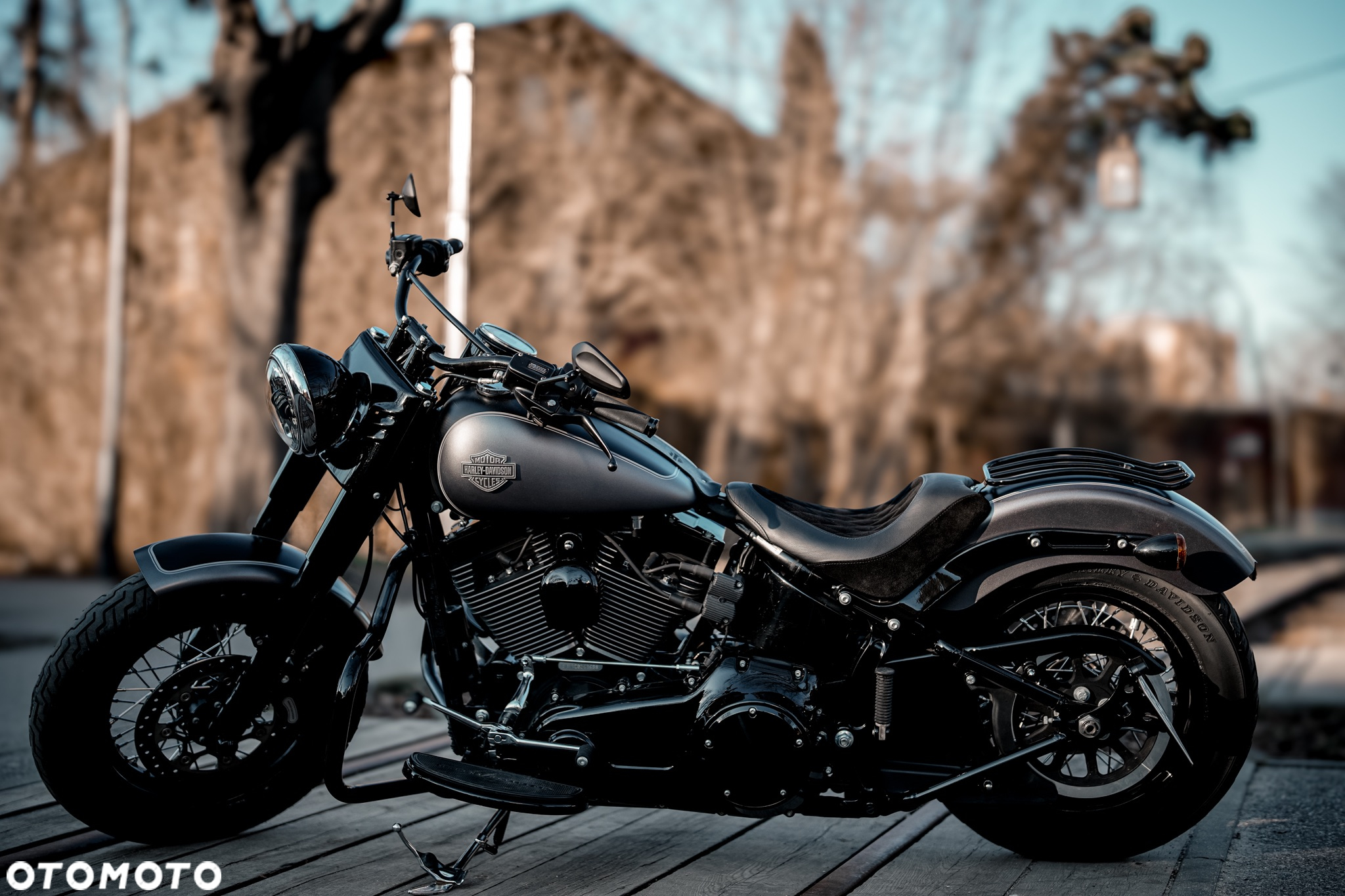 Harley-Davidson Softail Slim - 30