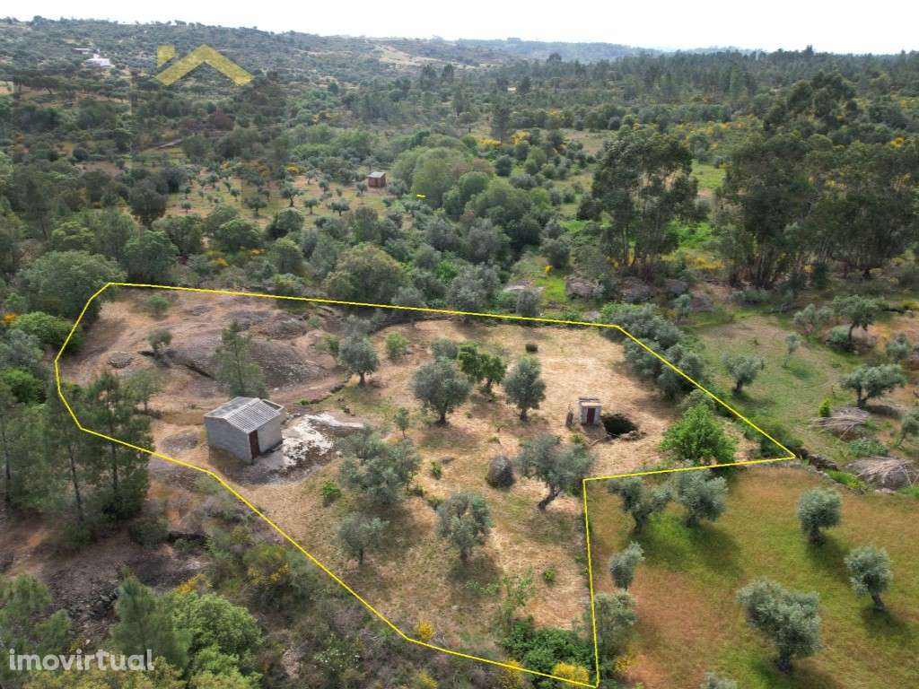 Quintinha 'Off-Grid' com Poço, Árvores e Linha de Água - Castelo Br... - Grande imagem: 3/28