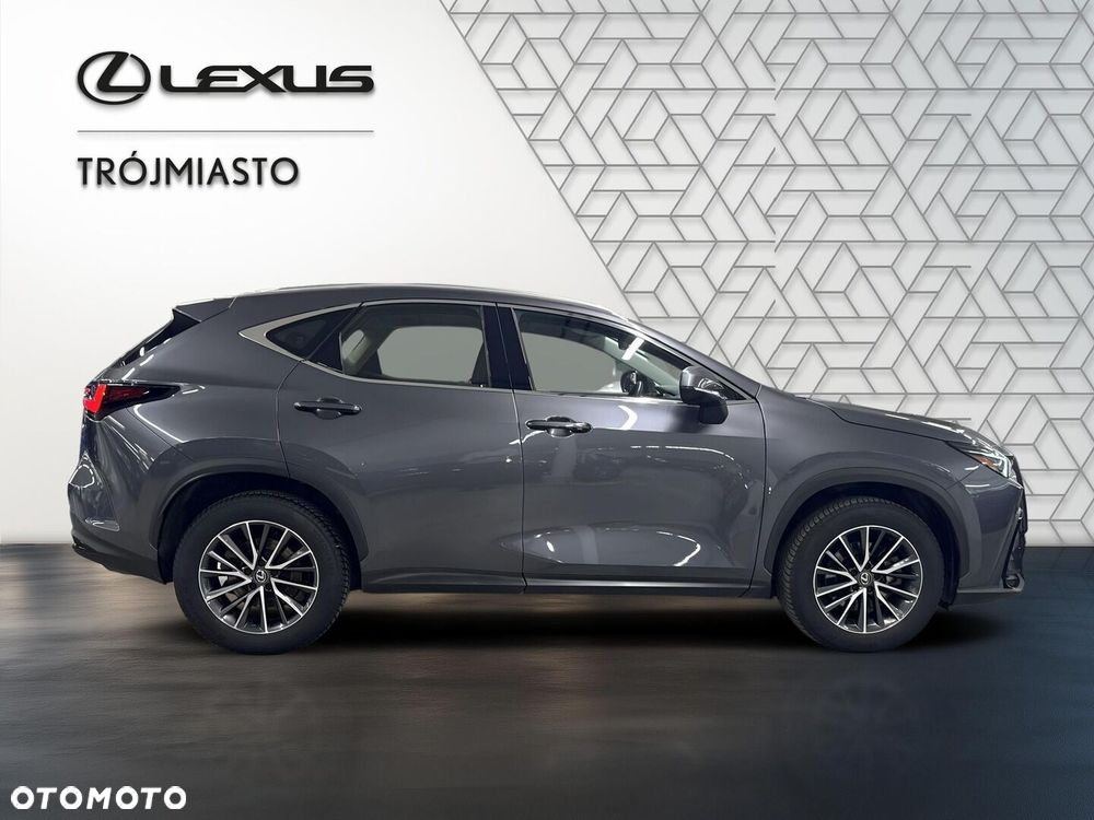 Lexus NX 350h Business AWD - 7