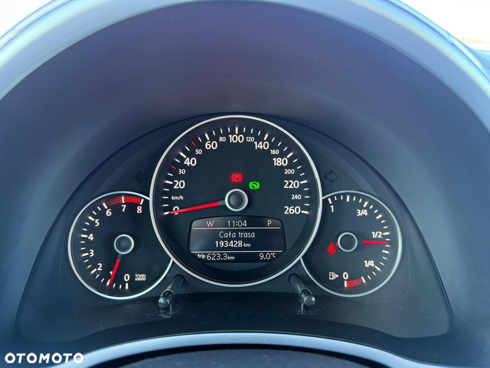 Volkswagen Beetle - 12