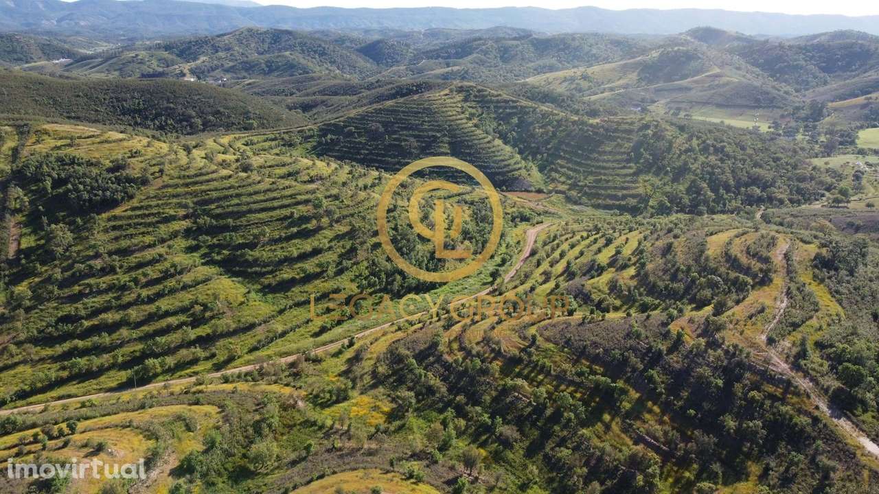 Terreno de 15,6 hectares em Sabóia, Odemira - Grande imagem: 3/12