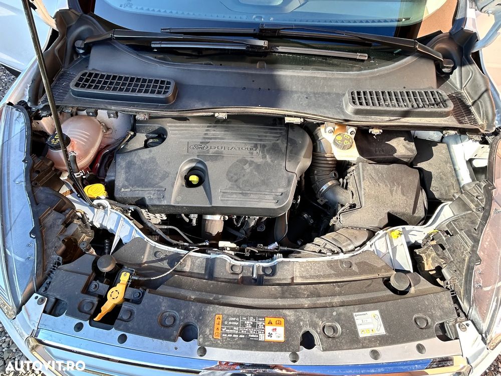 Ford Kuga 2.0 TDCi 4WD Powershift ST-Line - 21