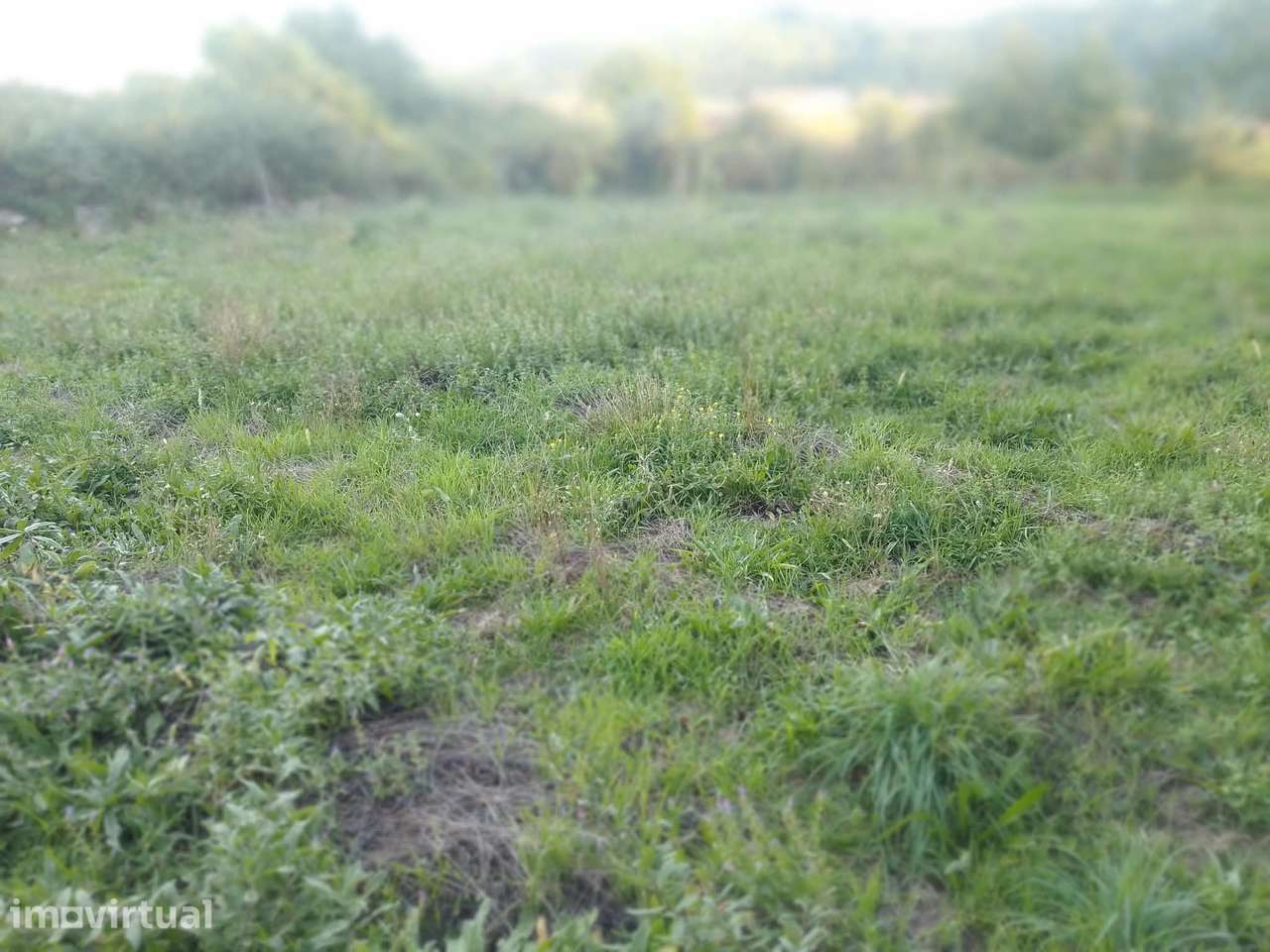 Terreno em Castro Daire, Viseu, à venda