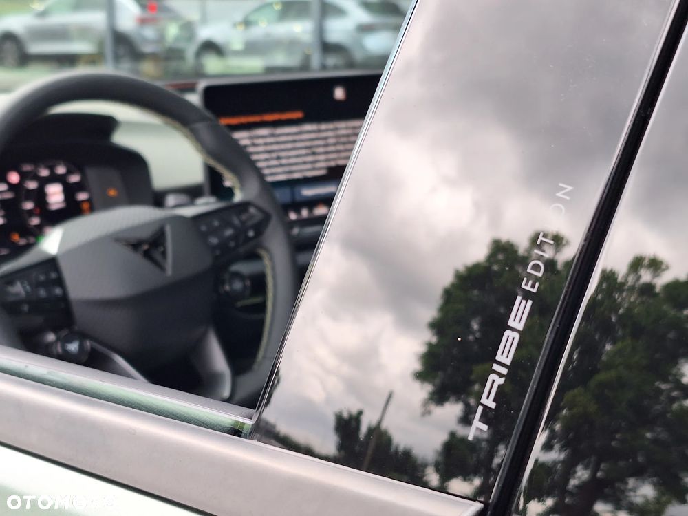 Cupra Terramar 2.0 TSI 4Drive VZ Tribe Edition DSG - 16
