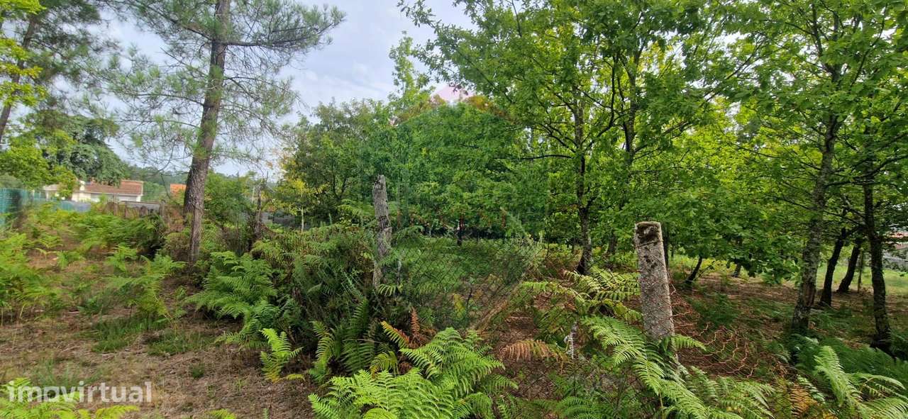 Terreno Urbano  Venda em Abraveses,Viseu - Grande imagem: 3/7