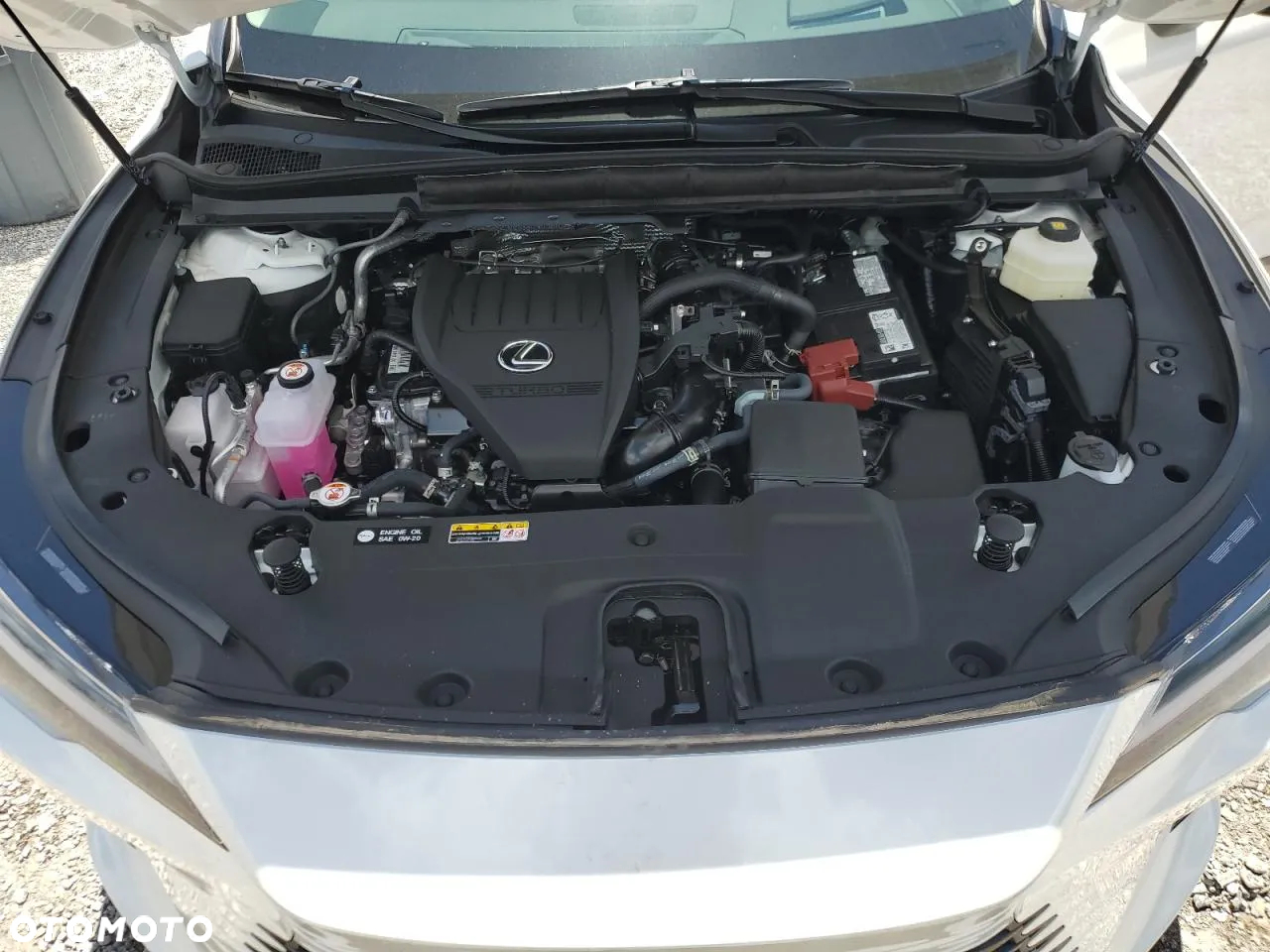 Lexus RX 300 Business Edition - 12