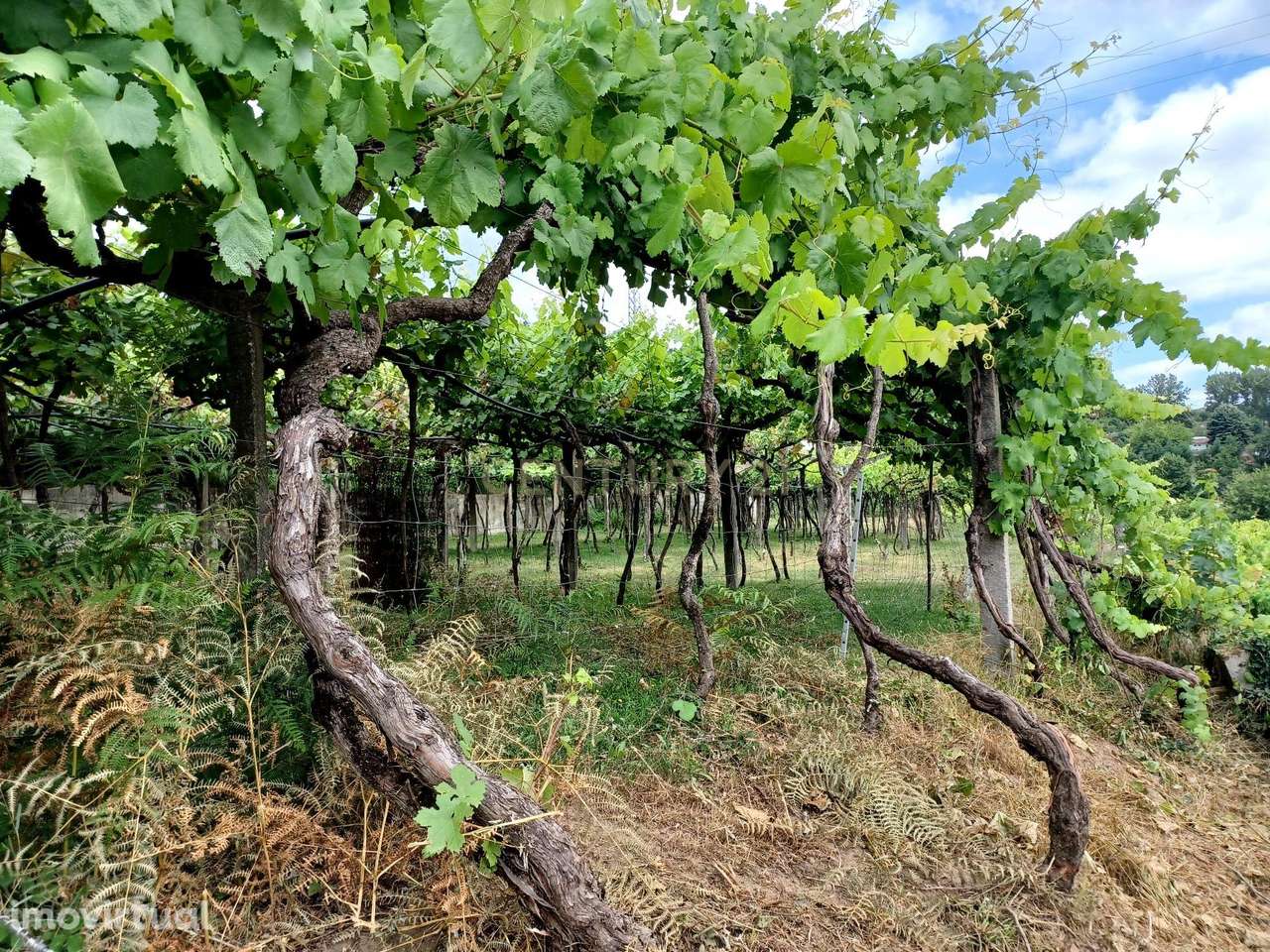 Terreno com 3.662 m² em Sande, Marco de Canaveses - Grande imagem: 5/14