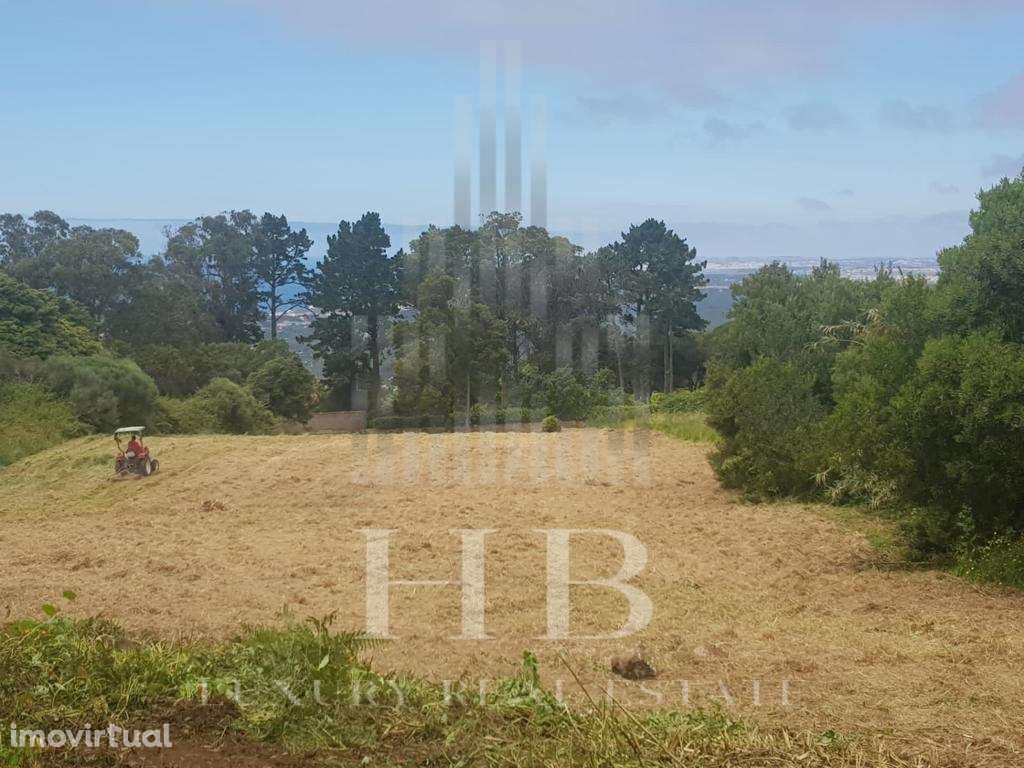Terreno para Investimento Sintra - Grande imagem: 2/8