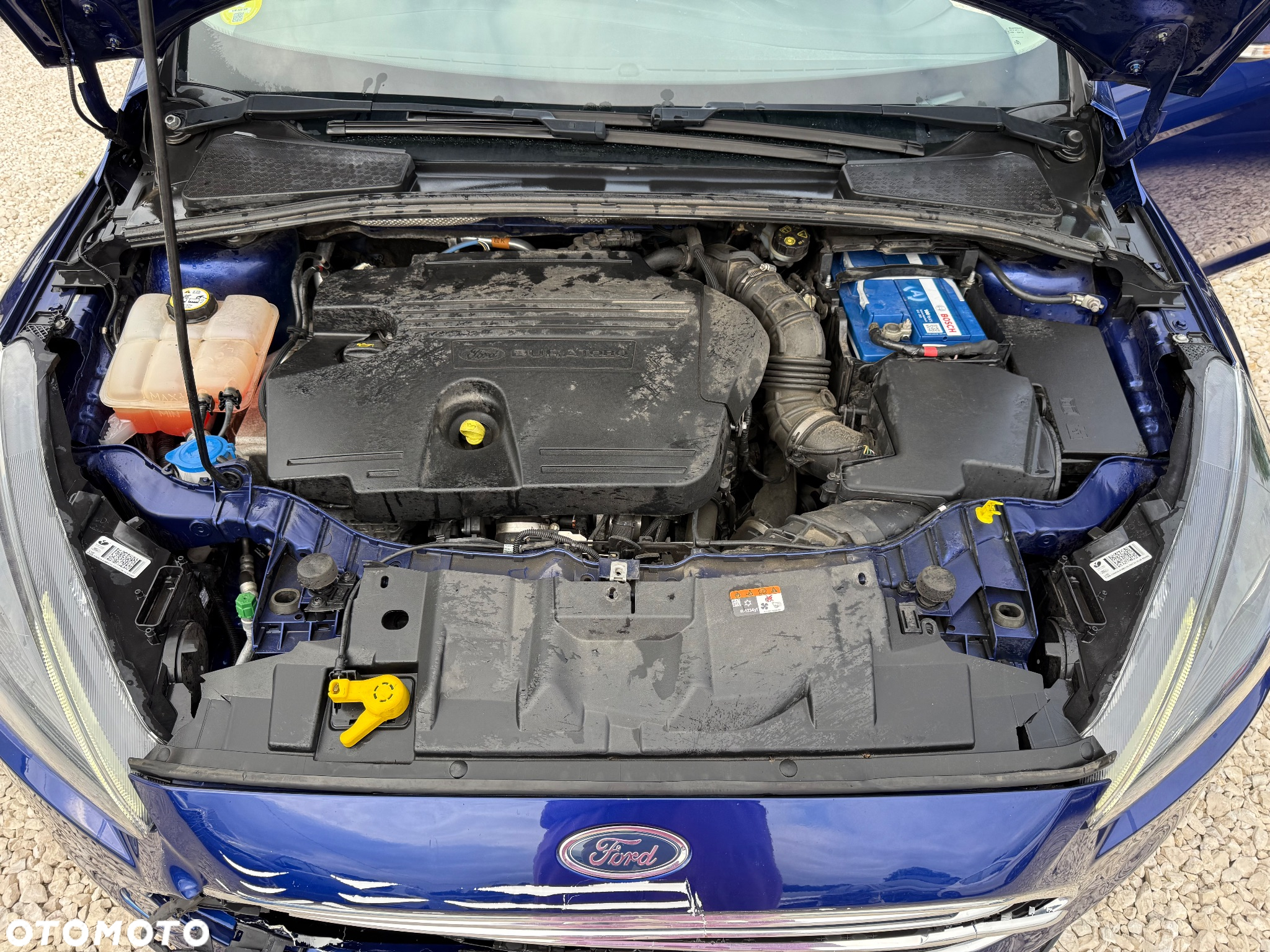 Ford Focus - 17