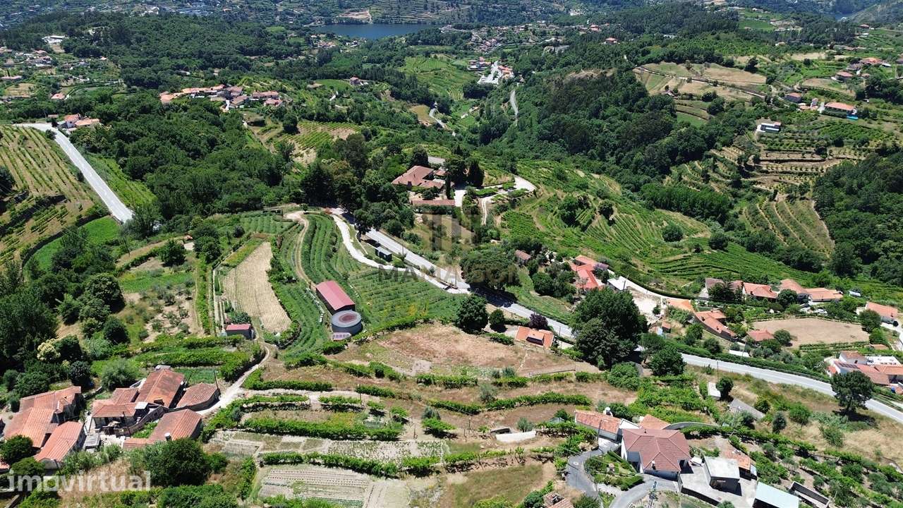 1350 M2 | VISTAS DOURO | C/ RUINA - Grande imagem: 3/9
