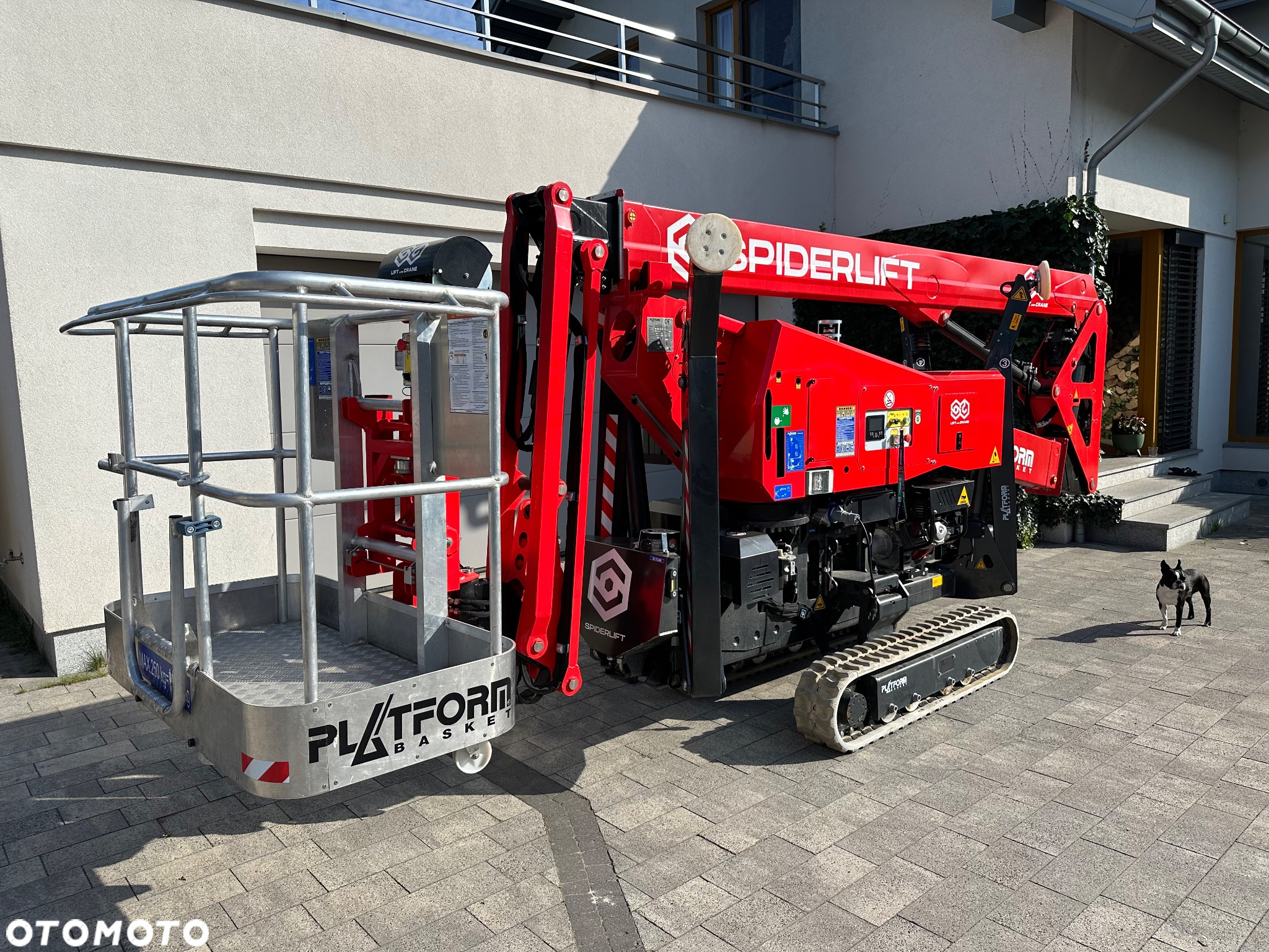 Inny Platform Basket Spider 20.95 - 3