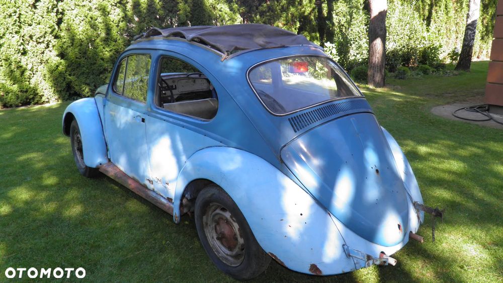 Volkswagen Beetle - 4
