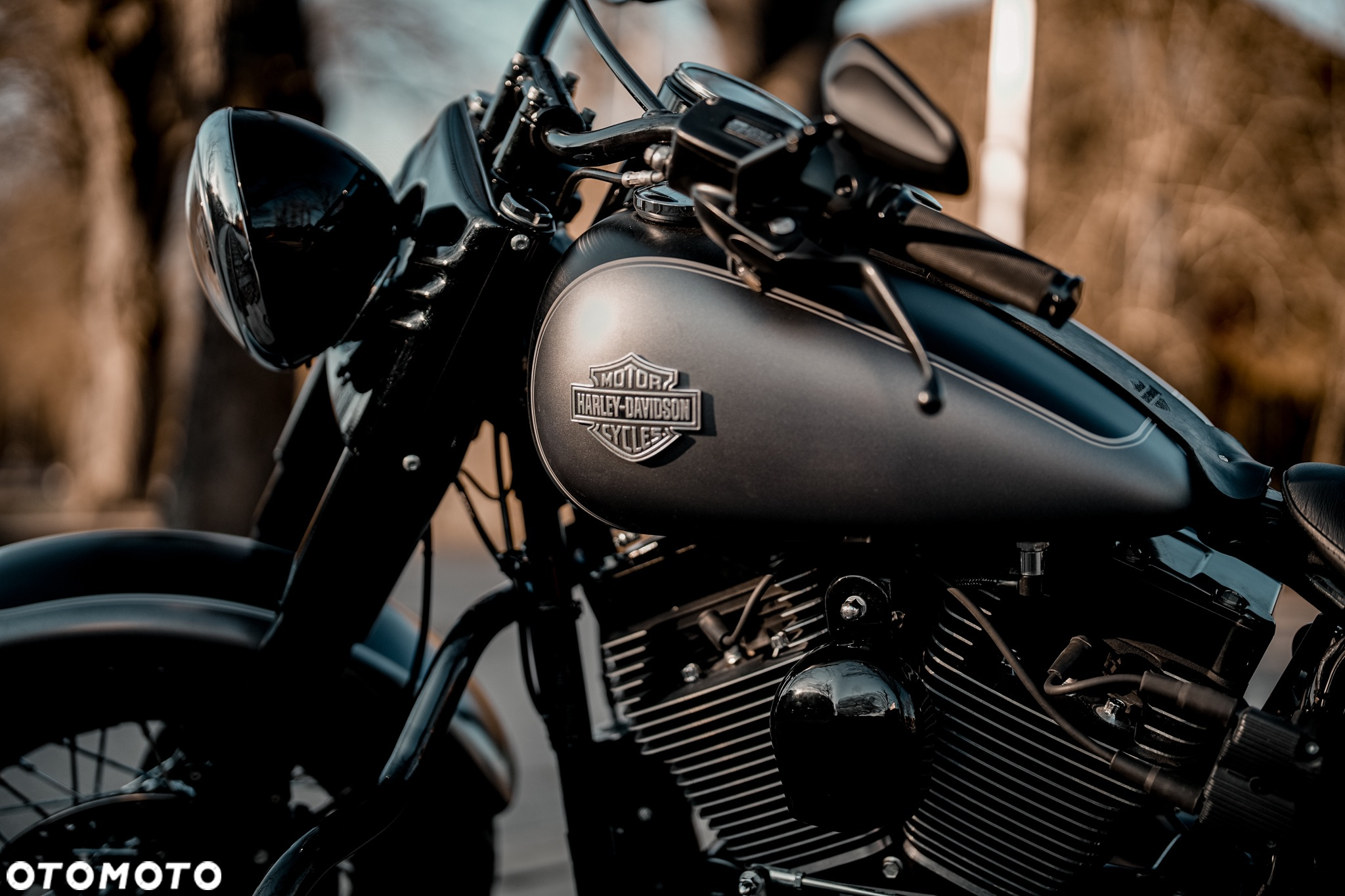 Harley-Davidson Softail Slim - 26