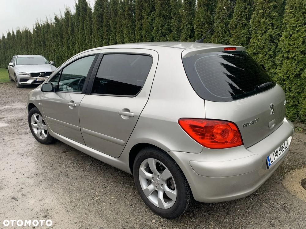 Peugeot 307 1.6 Premium - 6