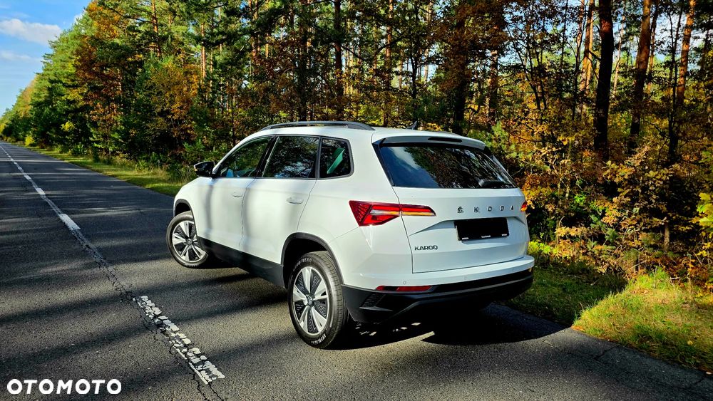 Skoda Karoq 2.0 TDI SCR 4x2 Sportline - 8