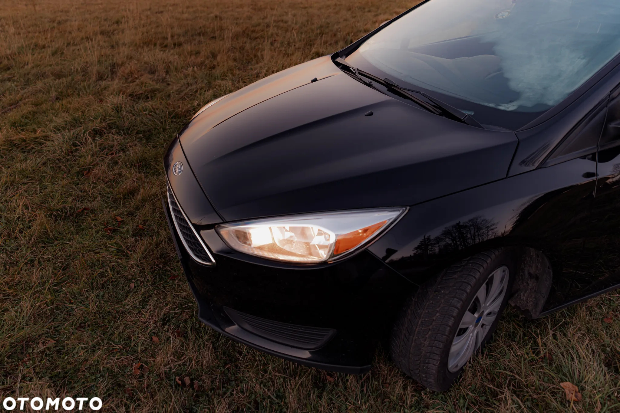 Ford Focus - 11