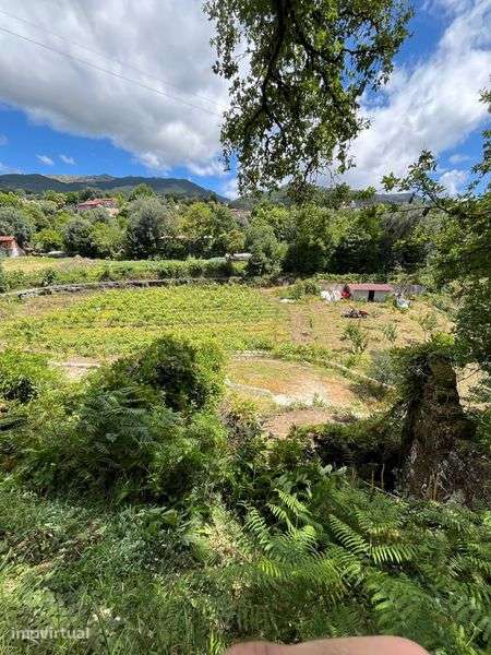 Vendo casa e terrenos - Grande imagem: 5/7