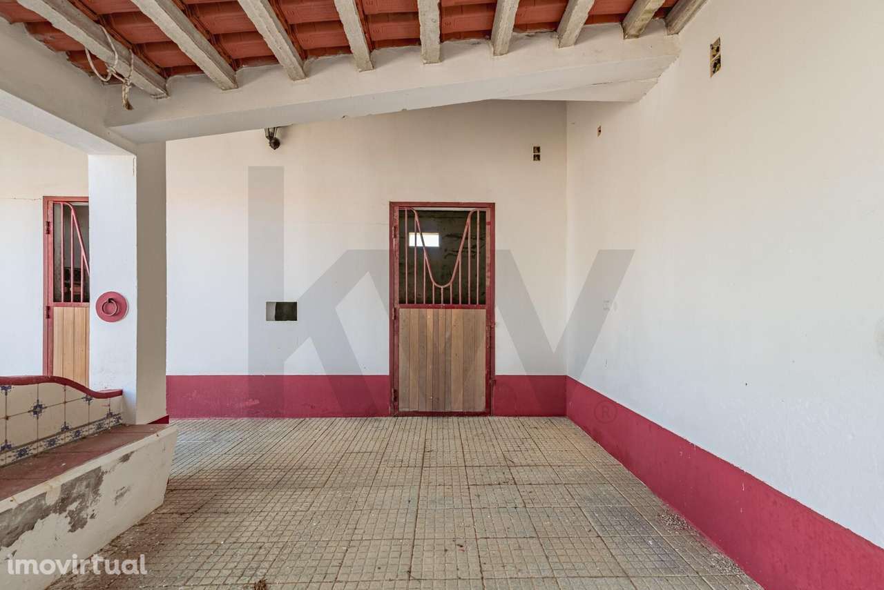 Propriedade no Alentejo criada para os aficionados d’arte equestre. - Grande imagem: 4/60