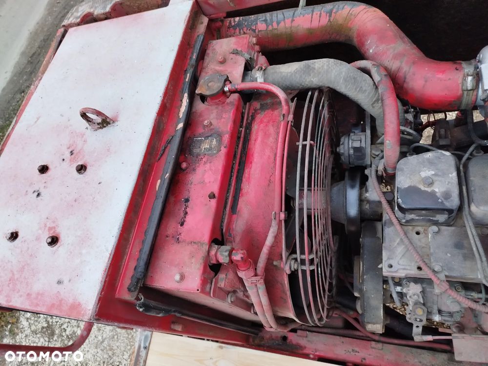 Case 61 błotniak - 12