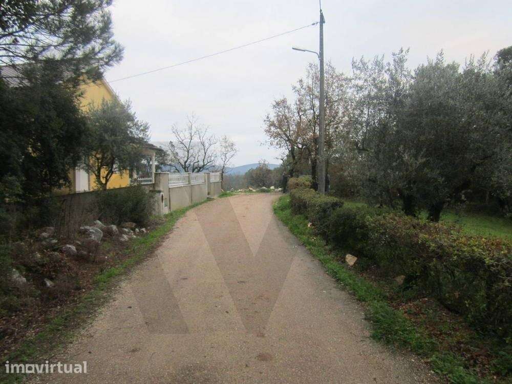 Terreno Rústico com 2.660 m2 – Feteira, Ansião - Grande imagem: 2/5