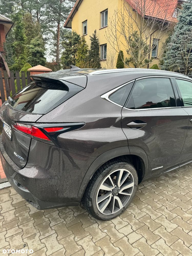 Lexus NX - 6