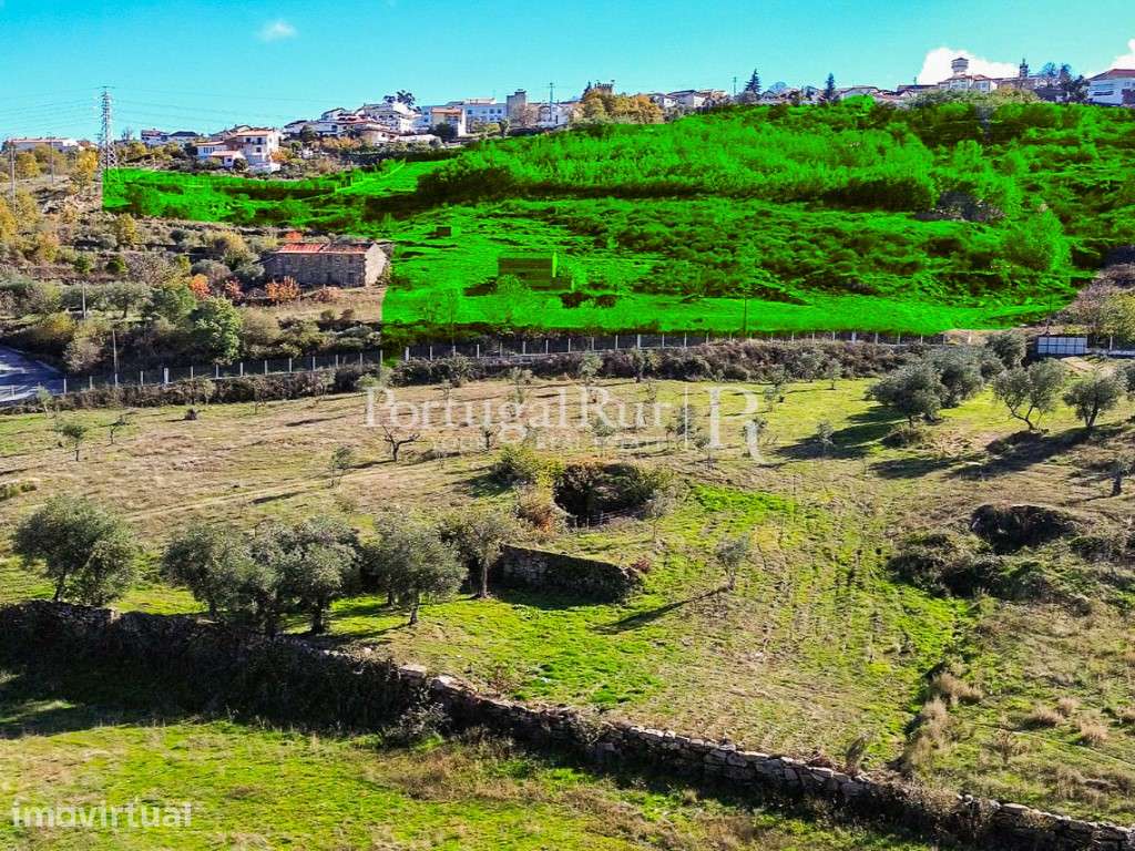 Terreno com 6,2 ha e potencial urbanístico em Belmonte - Grande imagem: 4/4
