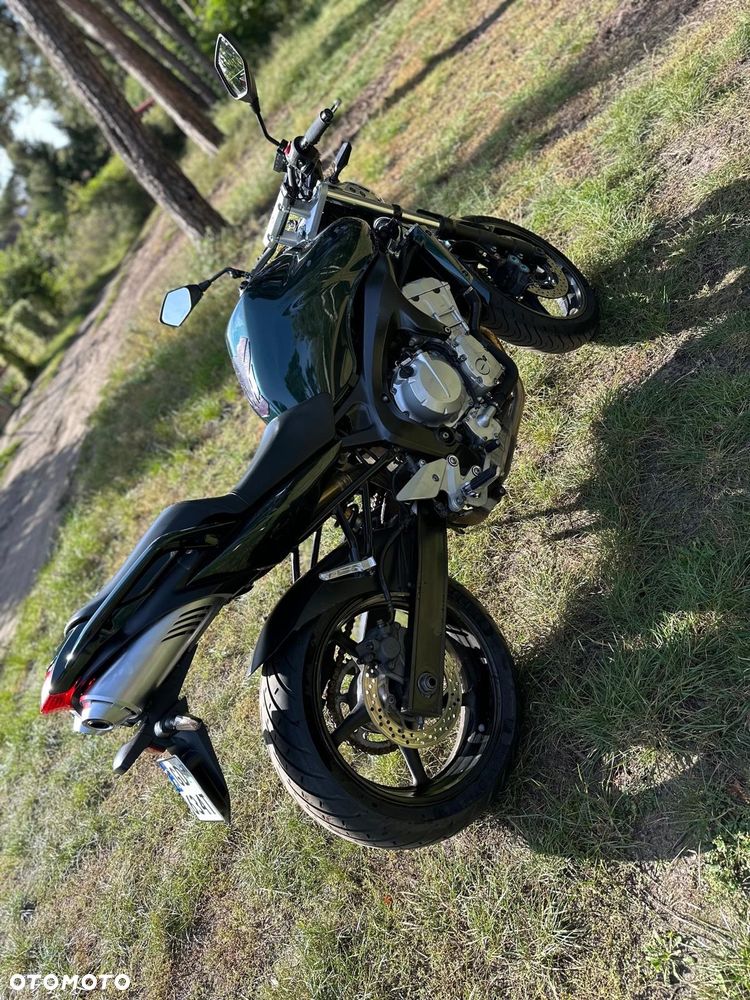 Yamaha FZ6 - 5