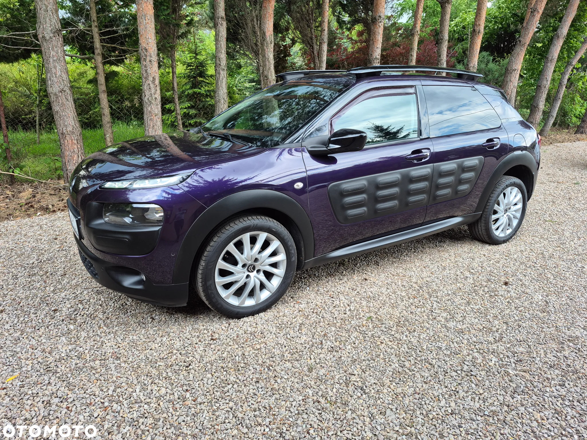 Citroën C4 Cactus 1.6 BlueHDi Shine - 2