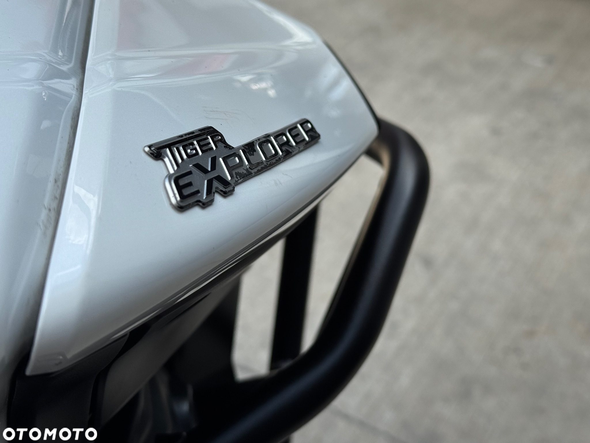 Triumph Tiger - 23