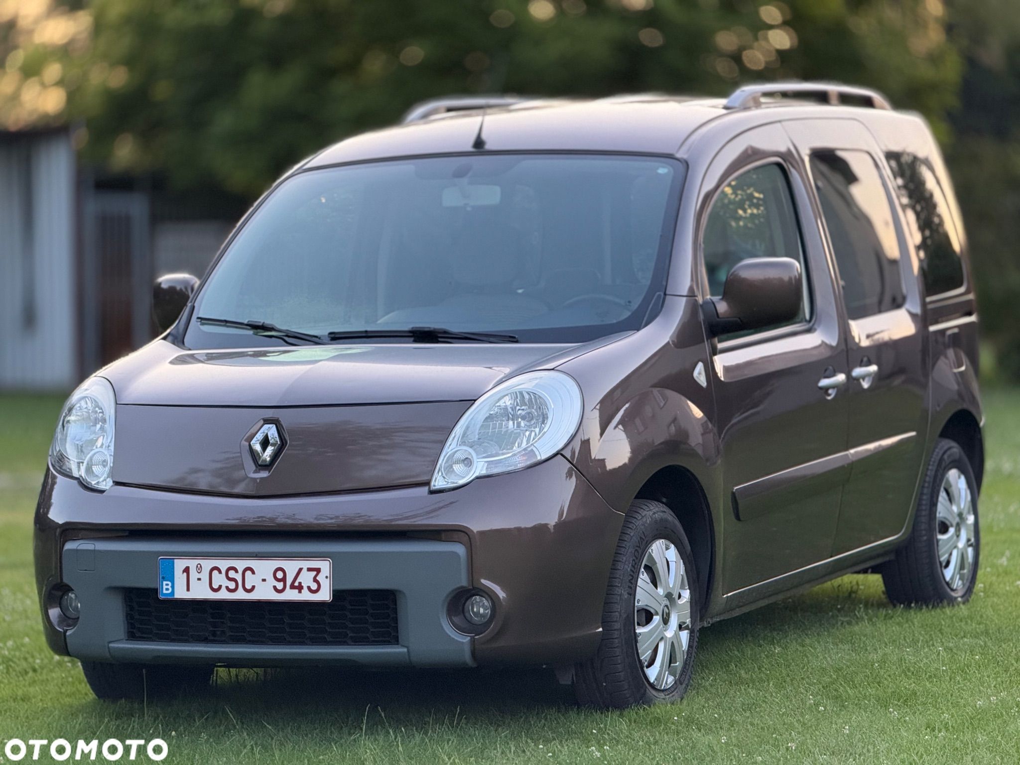 Renault Kangoo - 1