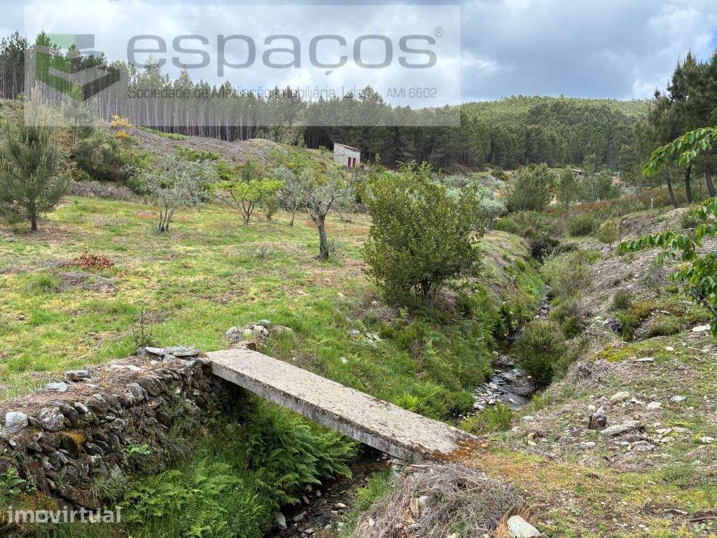 Terreno com olival e regadio - Grande imagem: 5/34