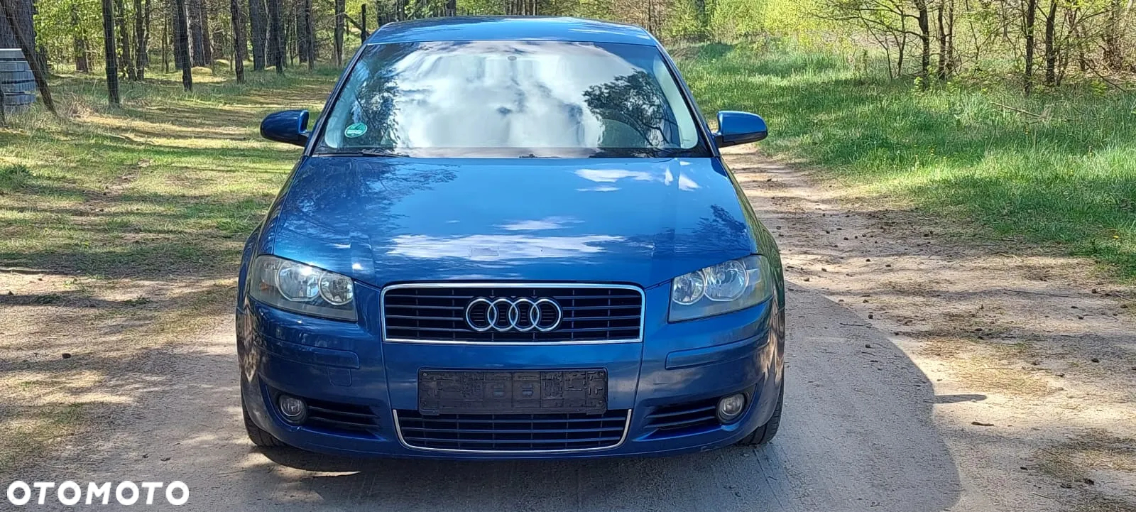 Audi A3 1.9 TDI Attraction - 12
