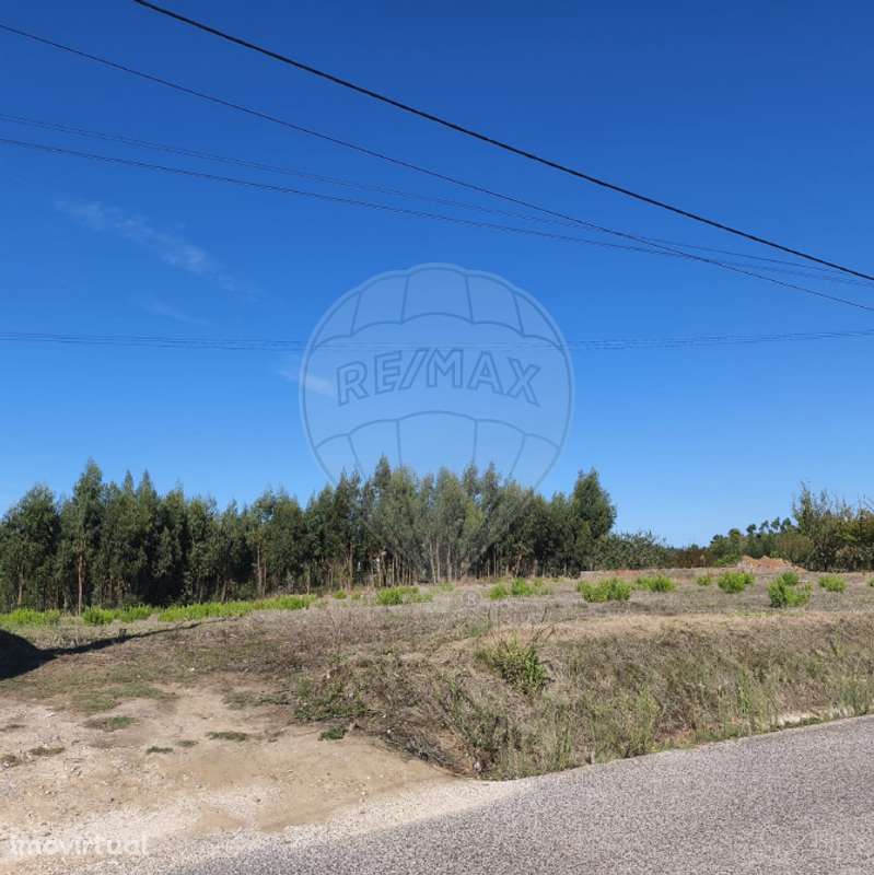 Terreno  para venda - Grande imagem: 3/6