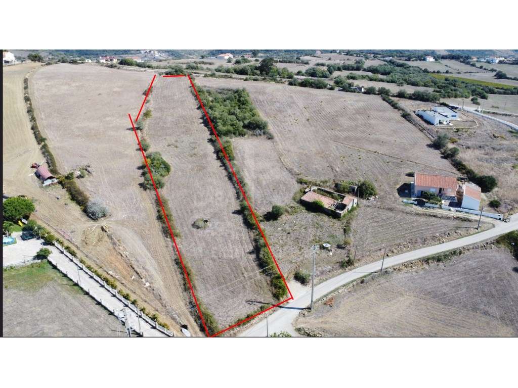 Vende Terreno - Ericeira 18 km, A Casa das Casas - Grande imagem: 5/17