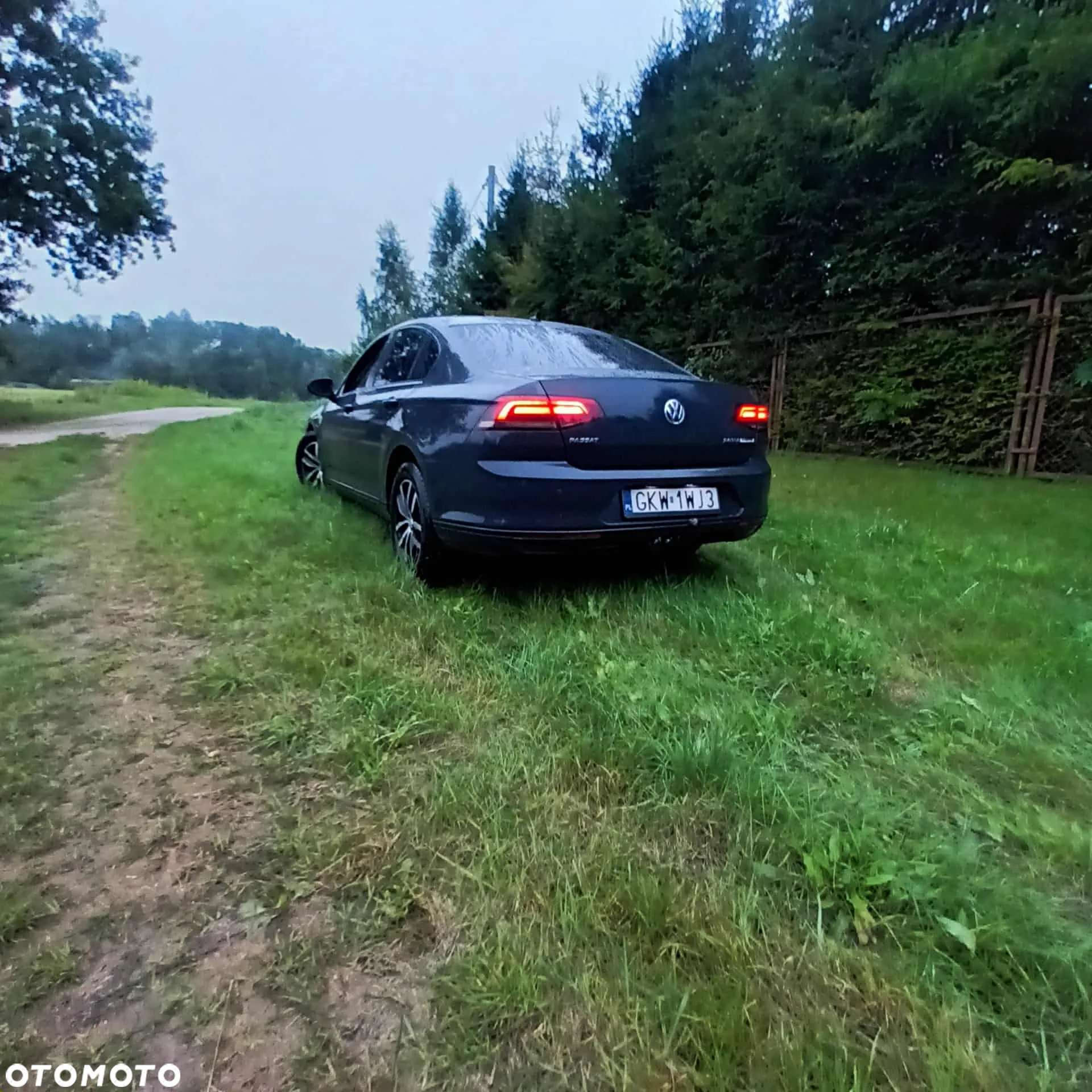 Volkswagen Passat - 3