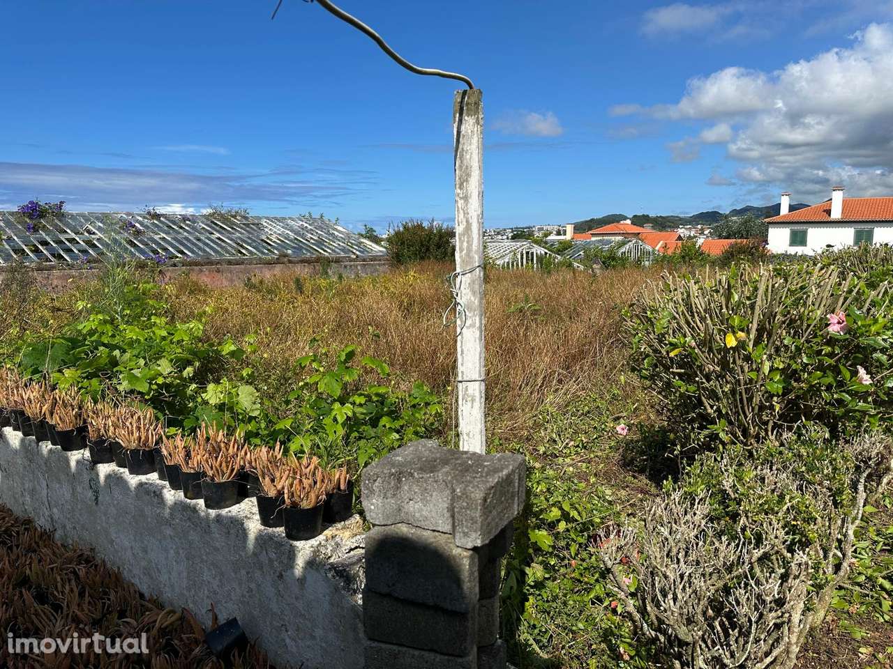 Fantástico Terreno no Livramento – Rosto de Cão - Grande imagem: 3/22