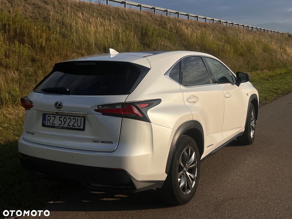 Lexus NX 300h F Sport Edition AWD - 4