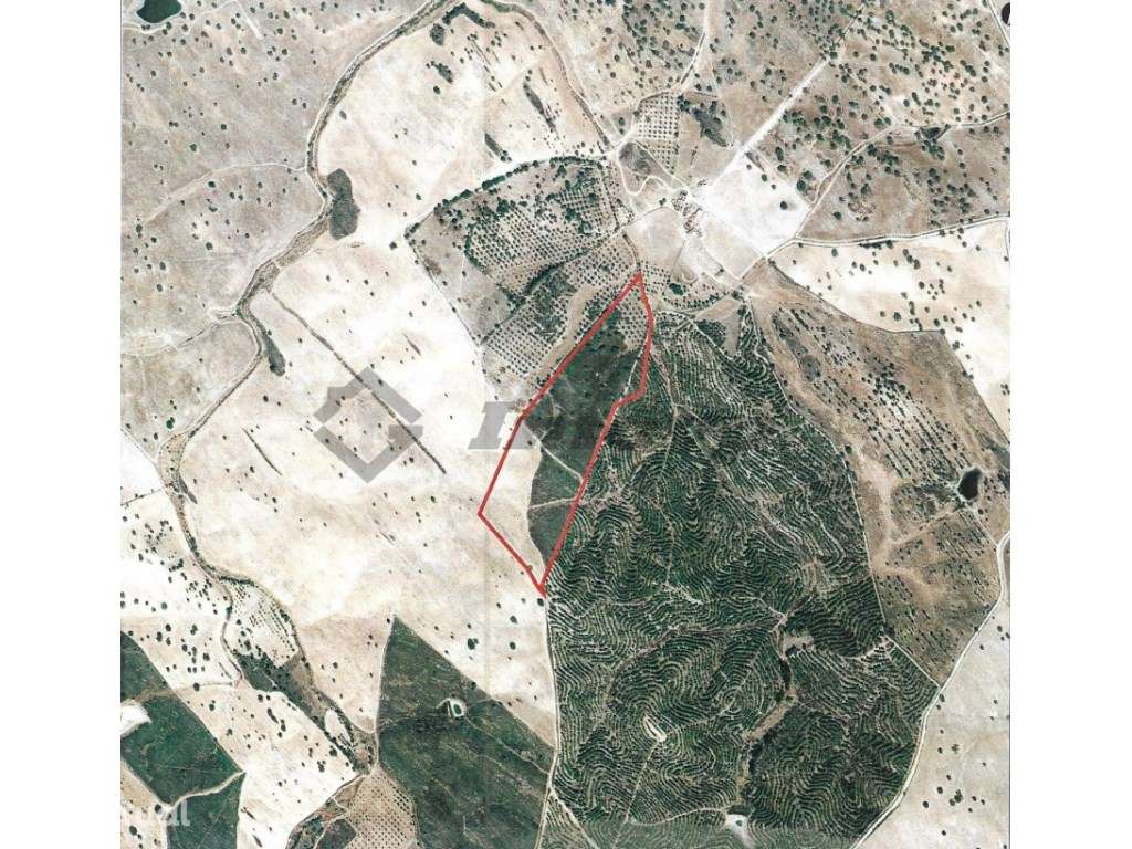 Terreno rústico de 9,1Ha localizado 1 Km da localidade da Dogueno - Grande imagem: 4/11