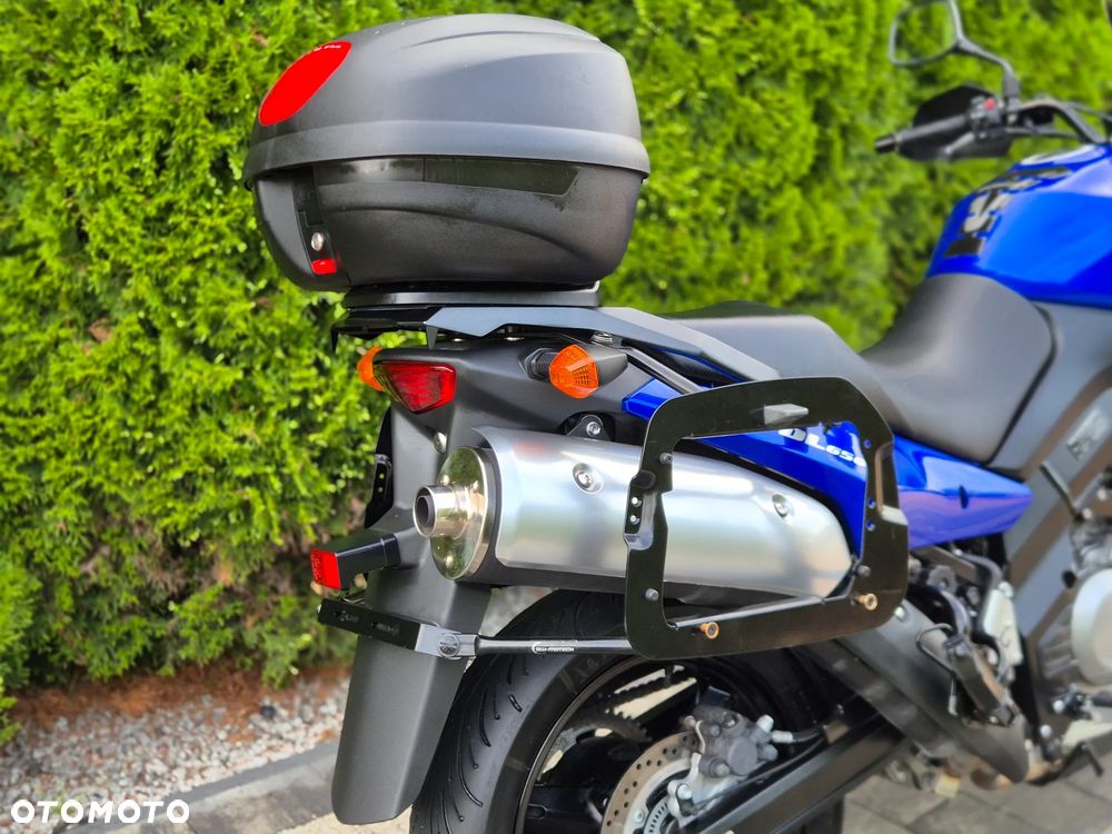 Suzuki DL - 11