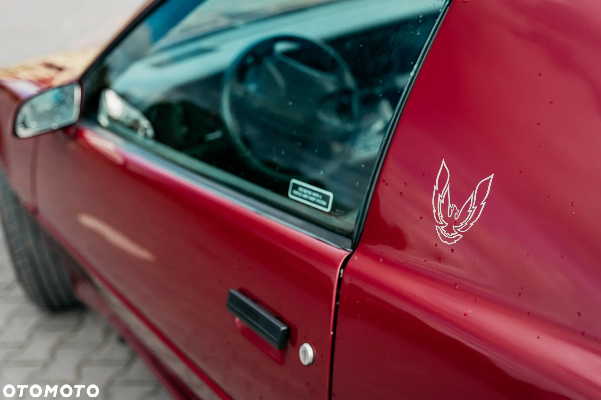 Pontiac Firebird - 11