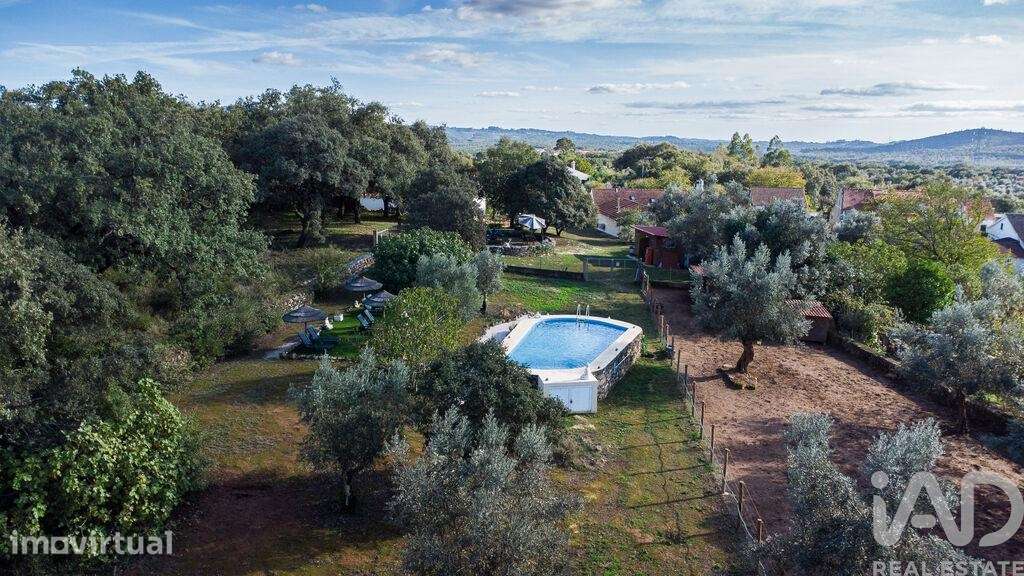 Quinta rural T7 em Areias e Pias de 500 m2 - Grande imagem: 2/40