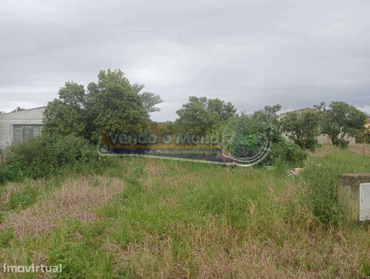 Terreno em Marinhais (M752) - Grande imagem: 3/3