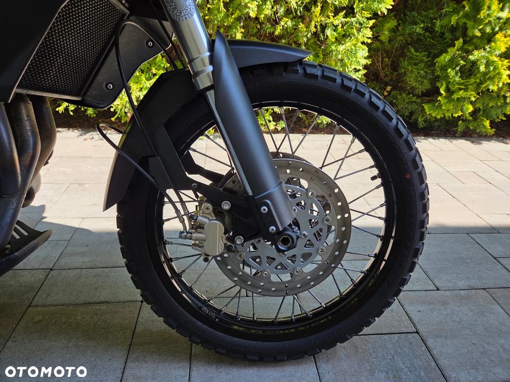 Triumph Tiger - 13