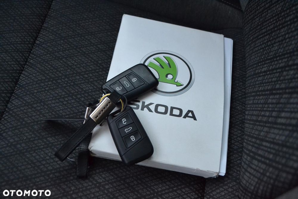 Skoda Karoq 2.0 TDI SCR 4x4 Style DSG - 24