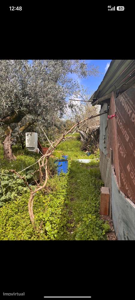 Casa de aldeia para restaurar - Grande imagem: 5/26