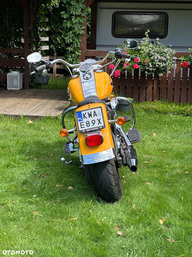 Harley-Davidson Softail Fat Bob - 7