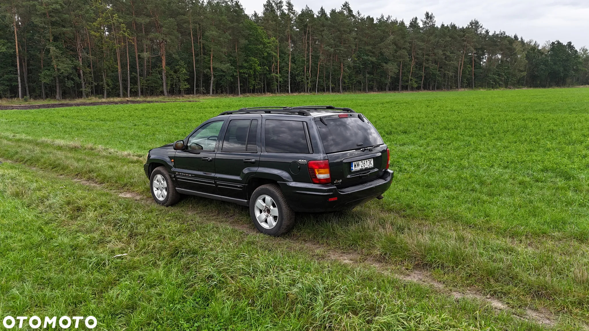 Jeep Grand Cherokee 4.7 Limited - 5