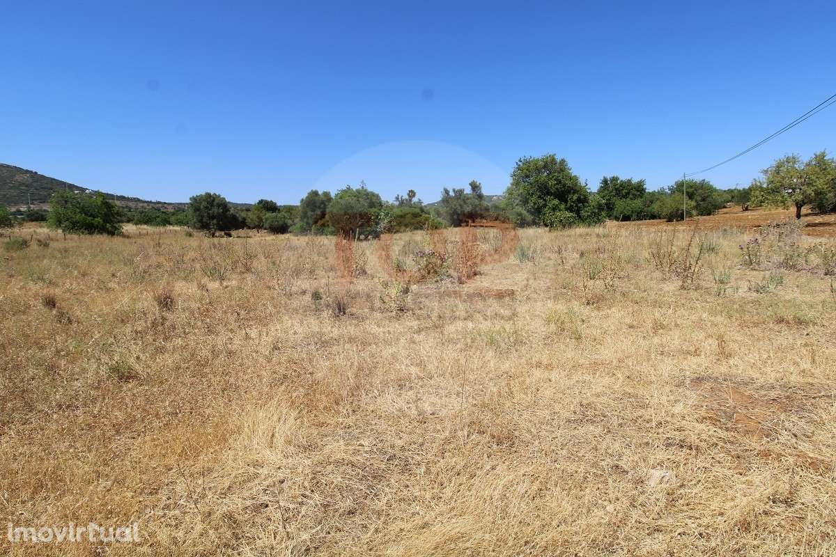 Terreno Rústico - Grande imagem: 2/28