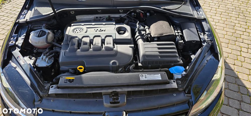 Volkswagen Golf - 29